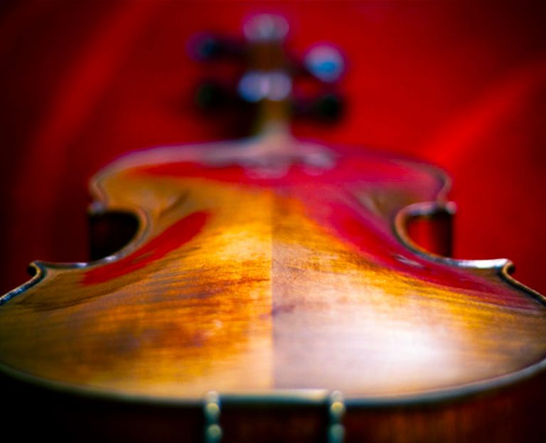 バイオリンにおける裏板の役割│タサカログ